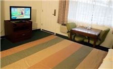 Palms Motel Room - Hotel King Bed Rooms Amenities 2